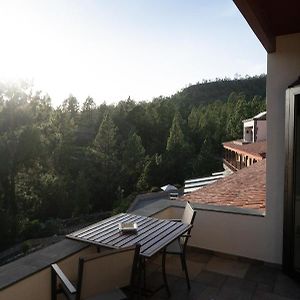 Attic Room Garden View